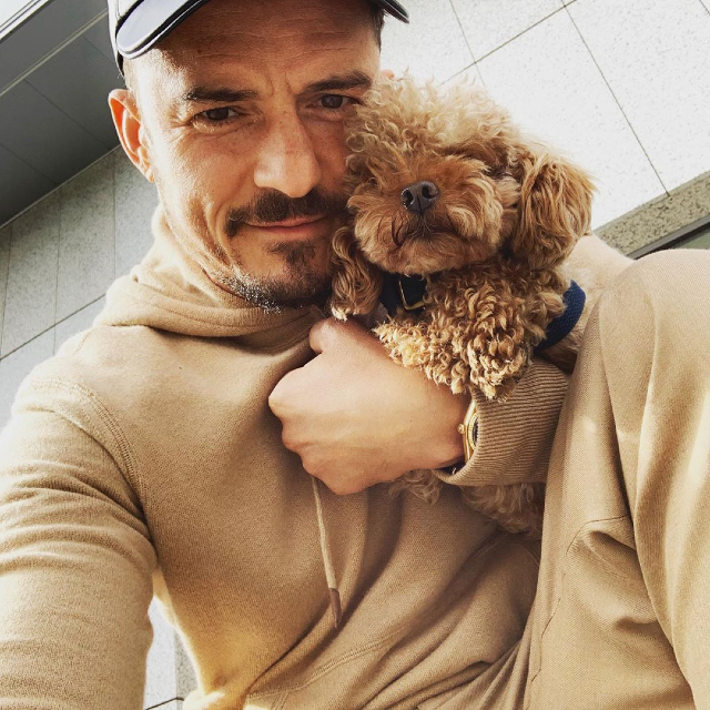 Orlando Bloom, 43 anni, insieme all'amatissimo Labradoodle Mighty