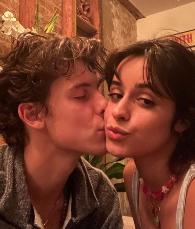 Shawn Mendes, 23 anni, e Camila Cabello, 24, si sono lasciati dopo 2 anni d'amore