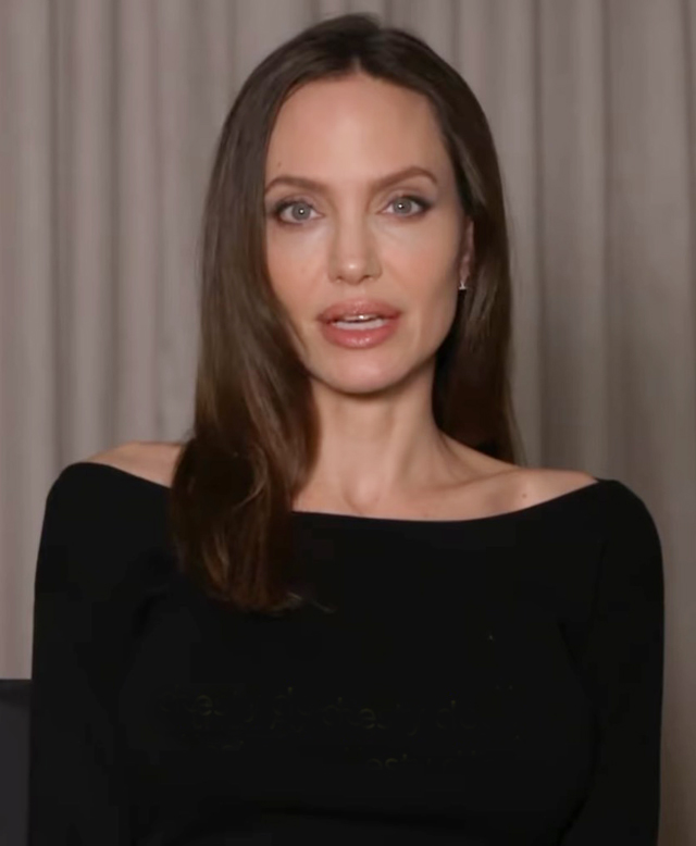 Angelina Jolie si è disfatta della sua porzione del castello e dell'attività vitivinicola