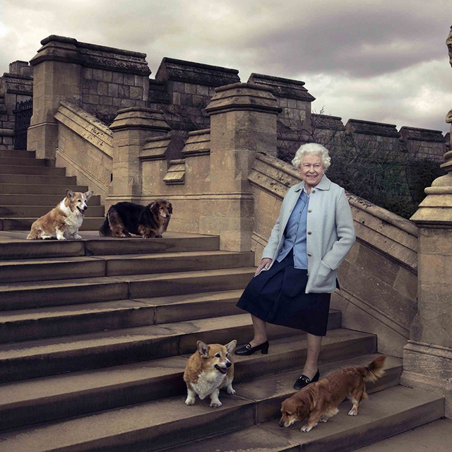 La Regina Elisabetta, 95 anni, è ormai troppo fragile per portare a spasso i suoi amati cani: ha dovuto rinunciare a una delle attività che le regalavano maggiore gioia