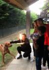 Alena Seredova festeggia il compleanno del cane con i figli e Alessandro Nasi