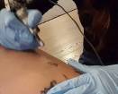 Giorgia Palmas tatuatrice di fiducia di Vittorio Brumotti