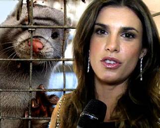 Elisabetta Canalis contro le pellicce: il video-messaggio