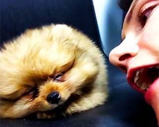 Elisa Toffoli si coccola la sua cucciolotta stanca
