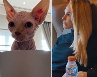 Ilary Blasi adotta un altro gatto nudo: guarda
